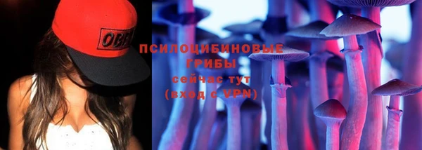 прущие крисы Беломорск