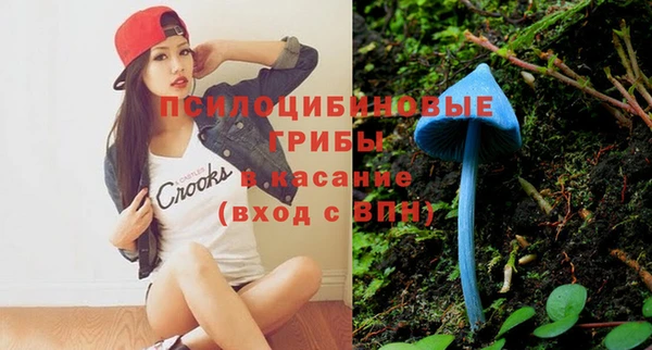 скорость Богданович