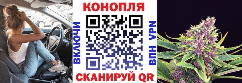 Каннабис THC 21%  Купить закладки  Зверево 